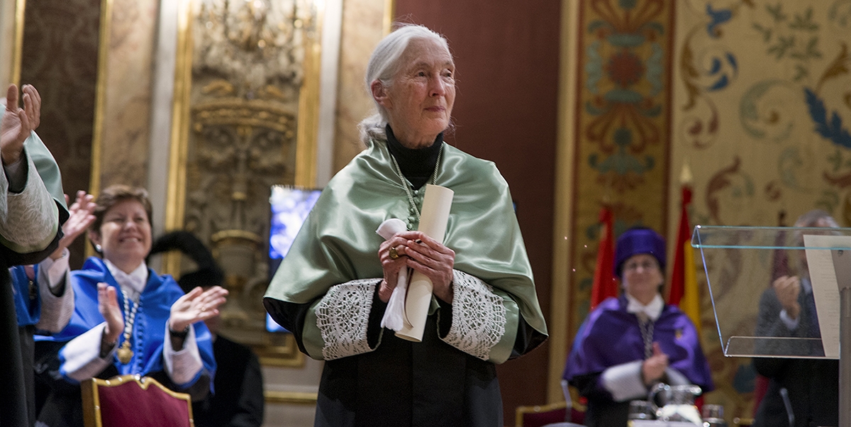 Desde la Unidad de Igualdad recordamos a Jane Godall, etóloga, primatóloga, activista, y una de las pocas mujeres honoris causa de la UCM